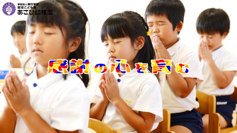 幼稚園 認定こども園 金田幼稚園の園・センパイ・新卒採用情報｜ほいコレナビ2026